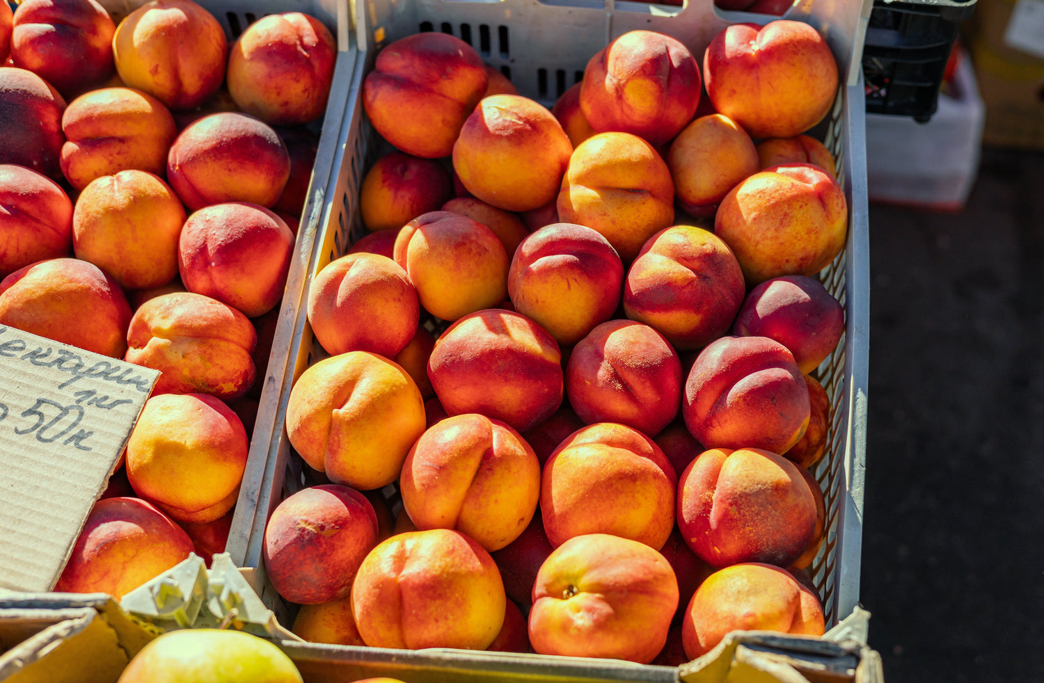 The Clear Skin Diet: What to Eat (and What to Avoid) for Healthy Skin